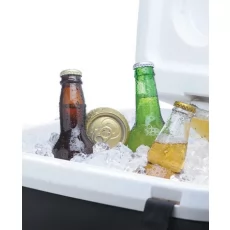 Portable coolers